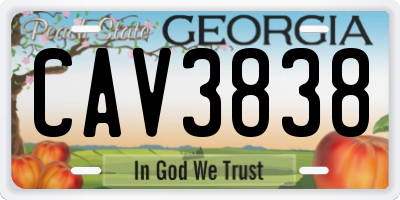 GA license plate CAV3838