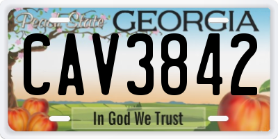 GA license plate CAV3842
