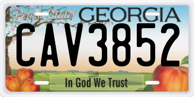 GA license plate CAV3852