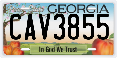 GA license plate CAV3855