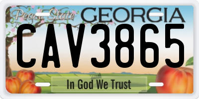 GA license plate CAV3865