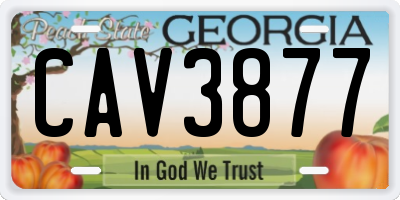 GA license plate CAV3877