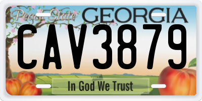 GA license plate CAV3879