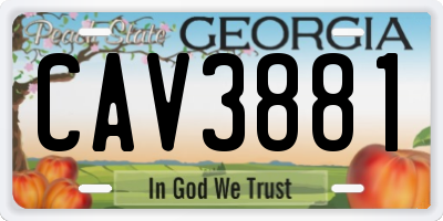 GA license plate CAV3881