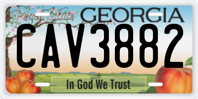 GA license plate CAV3882