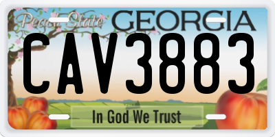 GA license plate CAV3883