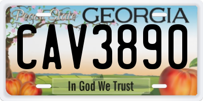 GA license plate CAV3890