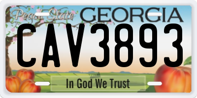 GA license plate CAV3893