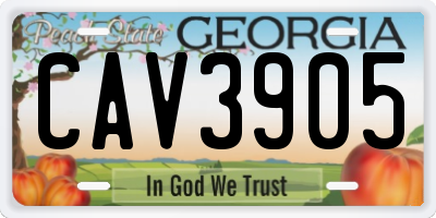 GA license plate CAV3905
