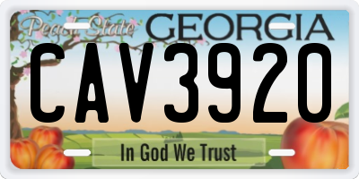 GA license plate CAV3920