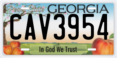 GA license plate CAV3954