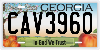 GA license plate CAV3960