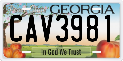 GA license plate CAV3981