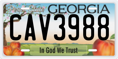 GA license plate CAV3988
