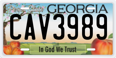 GA license plate CAV3989