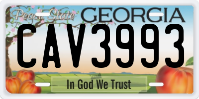 GA license plate CAV3993