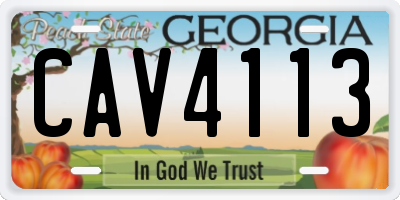 GA license plate CAV4113