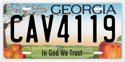 GA license plate CAV4119