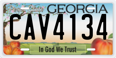 GA license plate CAV4134