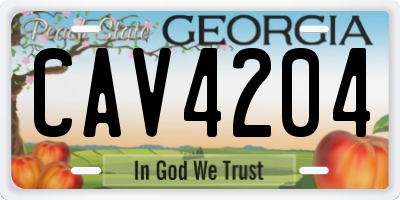 GA license plate CAV4204
