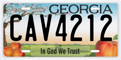 GA license plate CAV4212
