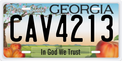 GA license plate CAV4213