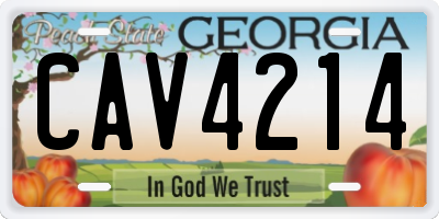 GA license plate CAV4214