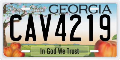 GA license plate CAV4219