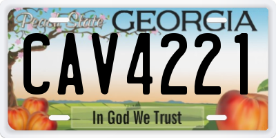 GA license plate CAV4221
