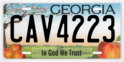 GA license plate CAV4223