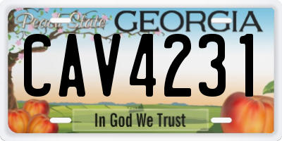 GA license plate CAV4231
