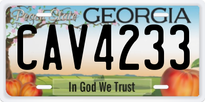 GA license plate CAV4233