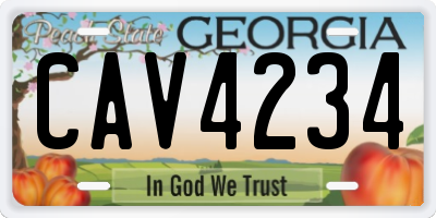 GA license plate CAV4234