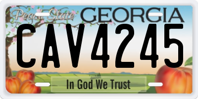 GA license plate CAV4245