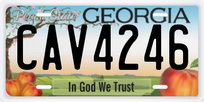 GA license plate CAV4246
