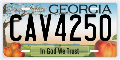 GA license plate CAV4250