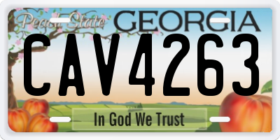 GA license plate CAV4263