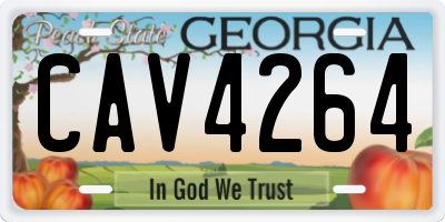 GA license plate CAV4264