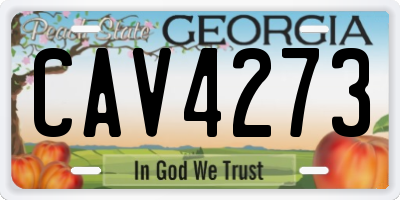 GA license plate CAV4273