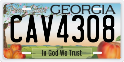 GA license plate CAV4308