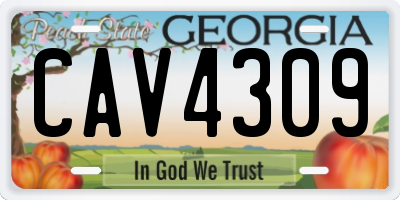 GA license plate CAV4309