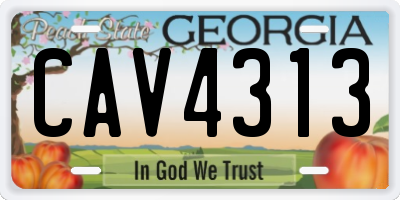 GA license plate CAV4313