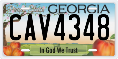 GA license plate CAV4348