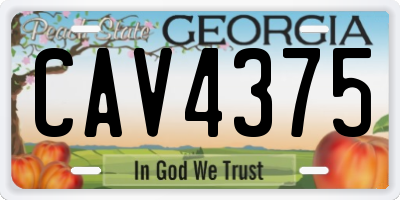 GA license plate CAV4375