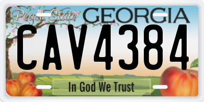 GA license plate CAV4384