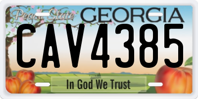 GA license plate CAV4385