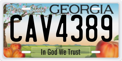 GA license plate CAV4389