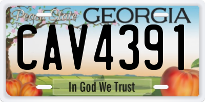 GA license plate CAV4391