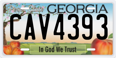GA license plate CAV4393