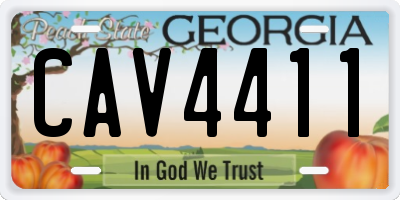 GA license plate CAV4411
